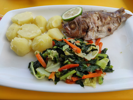 Grilled fish with boiled potatoes and veg