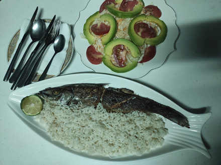 Fish, rice and salad